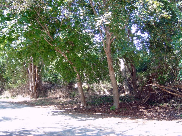 [SHELTER ISLAND Real Estate, listing number 5298849]