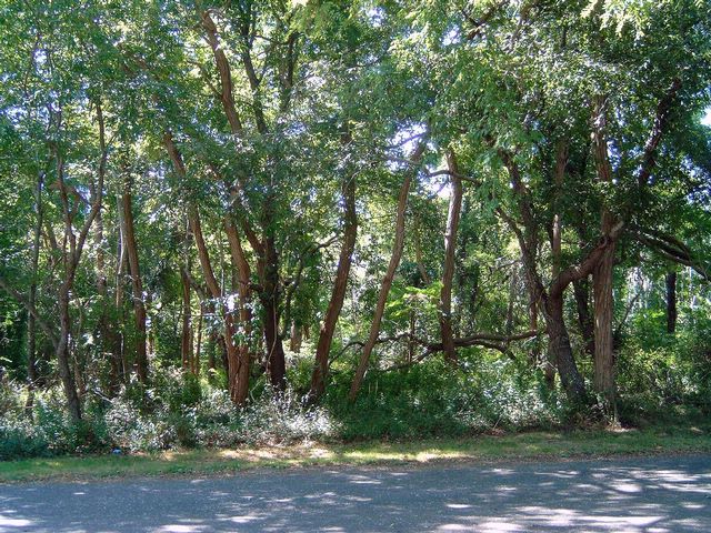 [SHELTER ISLAND Real Estate, listing number 5394279]